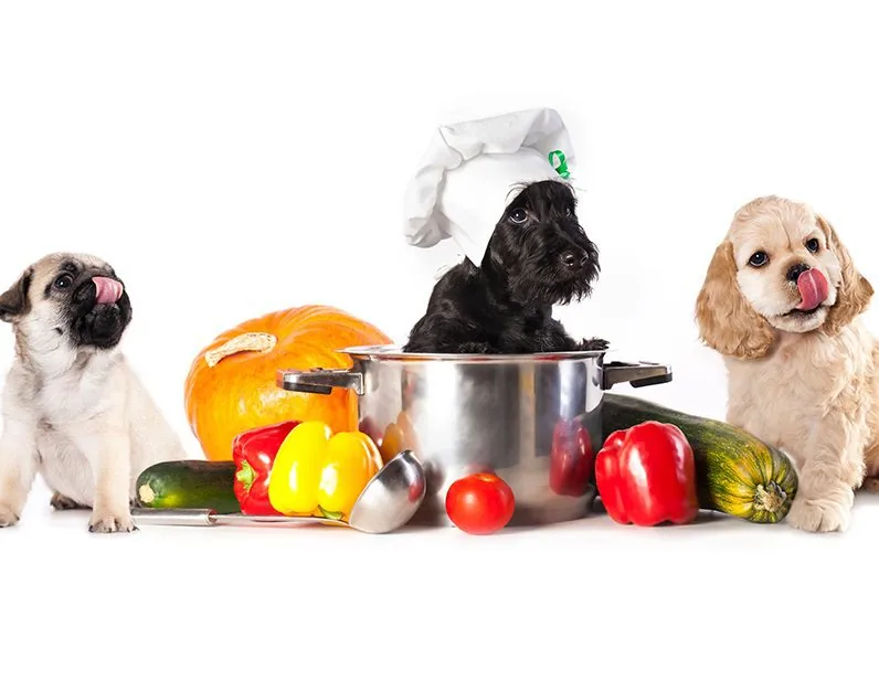 Cães ao lado de uma panela e legumes frescos.